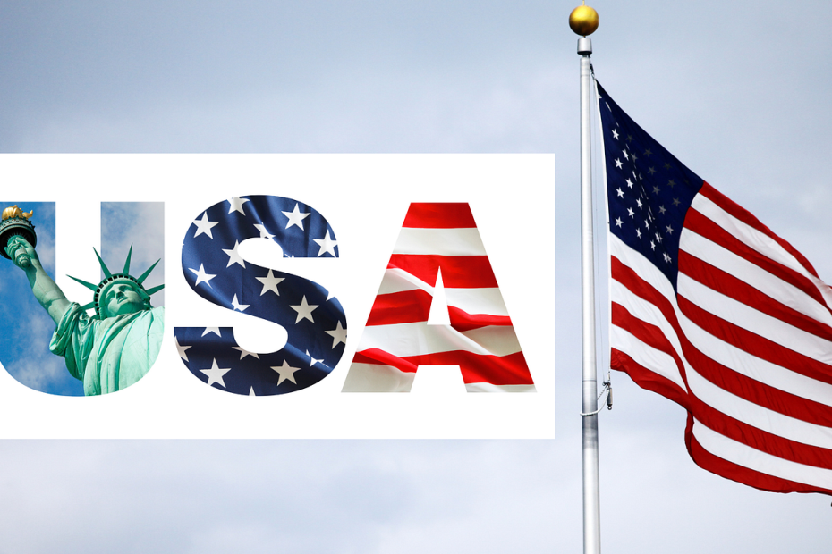 Foreign-Owned U.S. LLCs